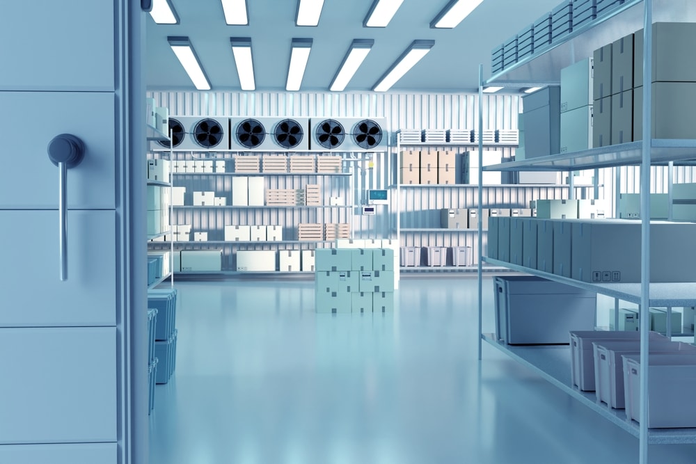 Refrigerator,Interior.,Freezer,Warehouse,With,Boxes,On,Shelves.,Industrial,Refrigerator