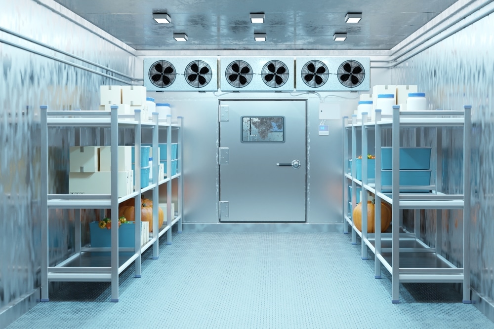 Industrial,Cold,Storage,Room,With,Metal,Shelving,,Pumpkins,,And,Organized